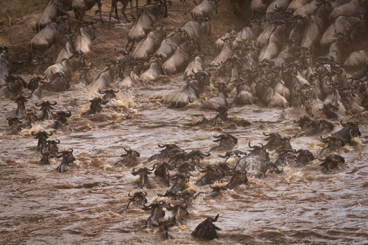 018 Masai Mara.jpg